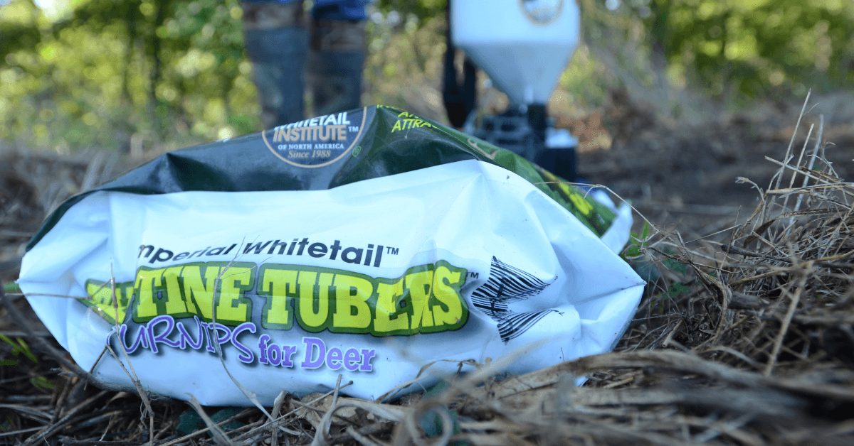 Featured Image for The Best Food Plot Involves Variety and Planning